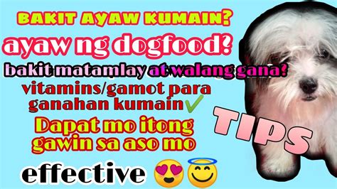 aso kinantot ang tao